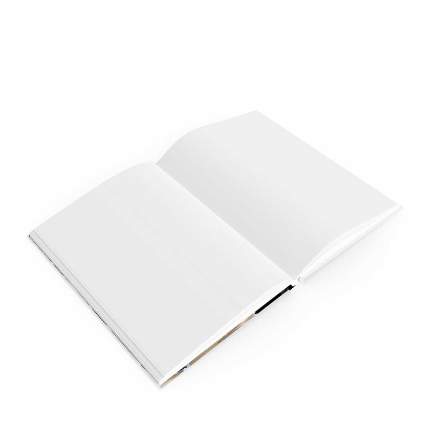 Vision Vault 2026 Journal